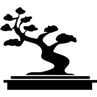 Bonsai