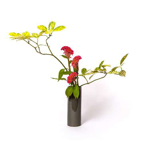Ikebana